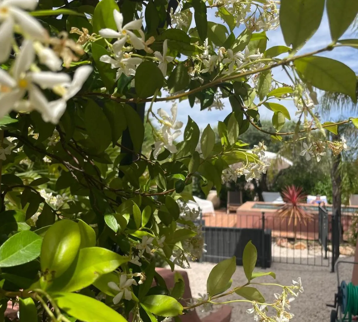 Villa Provencale 4 Etoiles - Piscine & Jardin Zen Сент-Максим Апартаменты